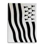 Torchon drapeau breton